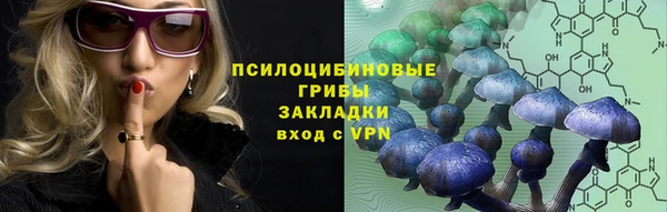 прущая мука Арсеньев