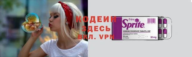 прущая мука Арсеньев