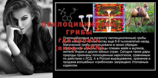 прущая мука Арсеньев