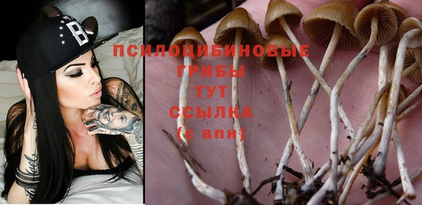 прущая мука Арсеньев