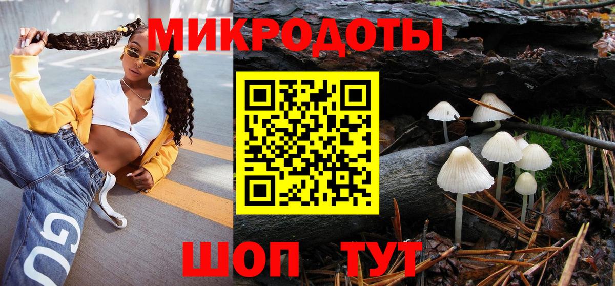 Галлюциногенные грибы Psilocybine cubensis Балашов